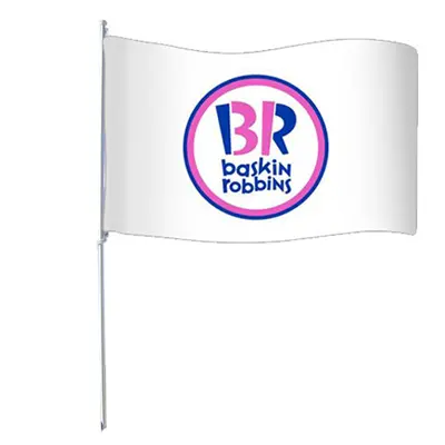 BaskinRobbins3x5LogoFlagwithHardware_large.webp